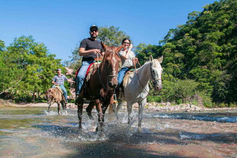 Puerto Vallarta: Tropical Forest Horseback Riding Adventure - The Experience in Context