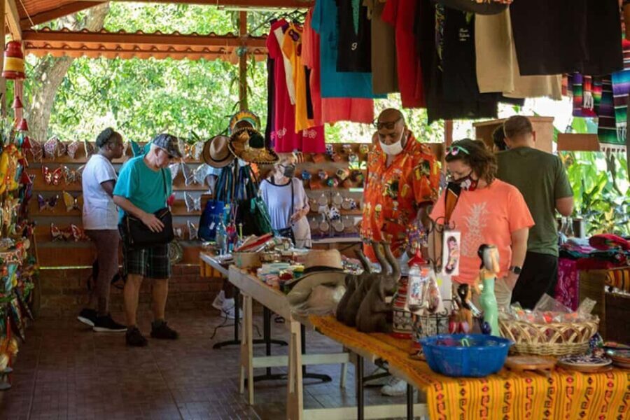 Puerto Vallarta: Tropical Tour - Who Would Love This Tour?