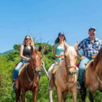 Puerto Vallarta: Wild Tour Horseback Adventure - The Terrain and Riding Experience