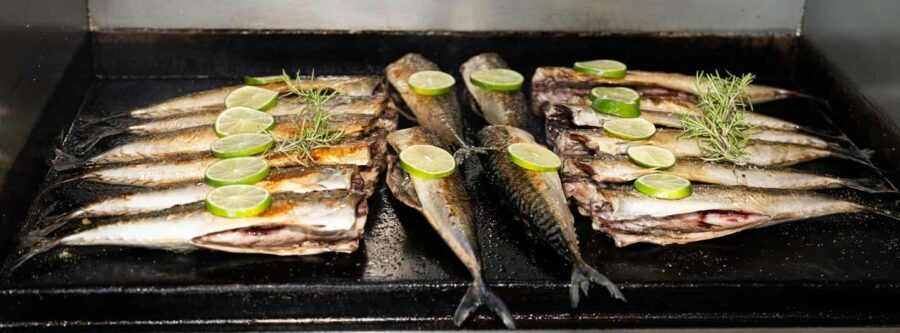 Pula: Brijuni Dolphin Watching cruise with Dinner & Sunset - What the Tour Includes and Excludes