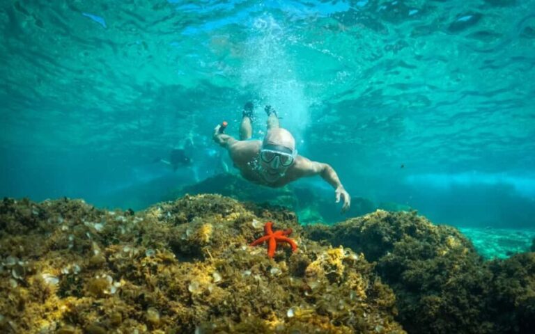 Pula: Kayaking, Snorkeling, Cliff jumping, photos included - Who Should Book This Tour?