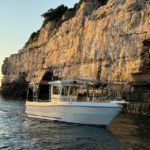 Pula: Sunset Dolphin Watching Boat Tour around N.P Brijuni - Practical Details and Tips