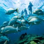 Pula: Swimming & snorkeling Boat Tour - What to Expect on the Tour