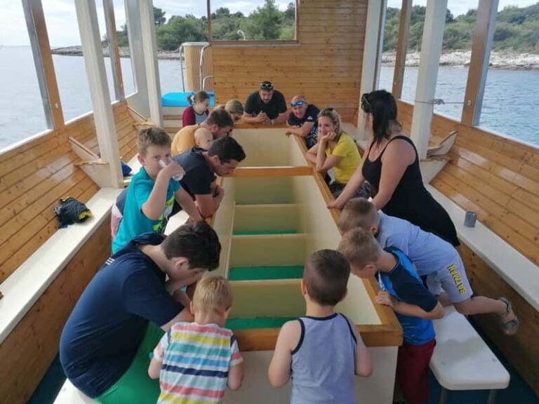 Pula Verudela: Glass-Bottom Boat and Swim with Fish Tour - What Makes This Tour Stand Out?