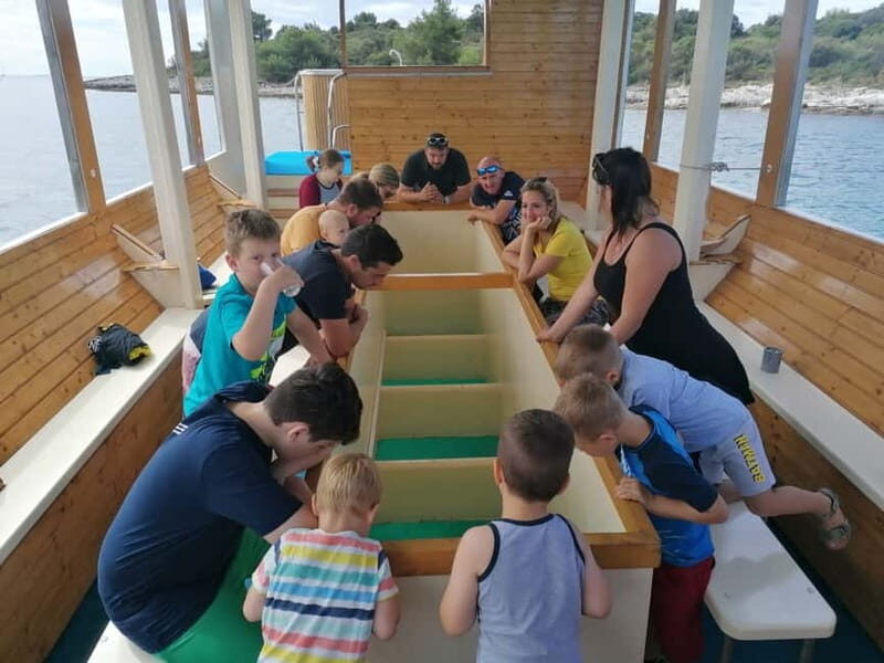 Pula Verudela: Glass-Bottom Boat and Swim with Fish Tour - What Makes This Tour Stand Out?