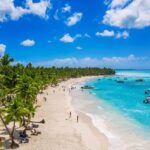 Punta Cana: Saona Island Full-Day Open Bar, Lunch & Transfer - The Itinerary: What to Expect on Your Day