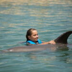 Punta Cancun: Swim with dolphins Harmony - What to Expect During Your Dolphin Encounter