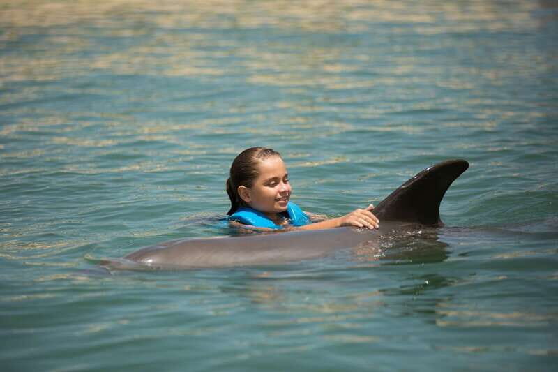Punta Cancun: Swim with dolphins Harmony - What to Expect During Your Dolphin Encounter