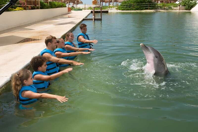 Punta Cancun: Swim with dolphins Interax - The Value of the Experience