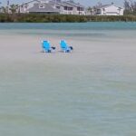 Punta Gorda /Boca Grande: Barrier Island Shelling Tour - Exploring the Barrier Islands from Punta Gorda