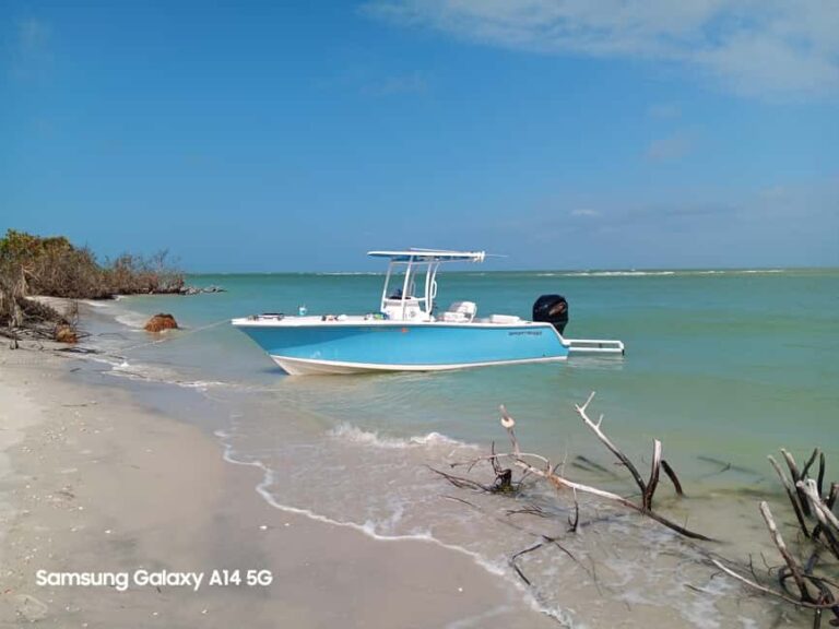 Punta Gorda/Boca Grande: Sandbar Cruise with Captain - Who the Tour Suits Best