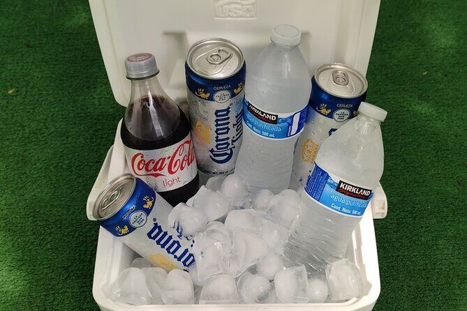 PVR VIP Roundtrip Transfer from Airport - Nuevo Nayarit - Airport - Final Thoughts