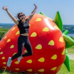 Quebec City - Agricultural Walking Tour on Ile d'Orléans - Practical Tips for Your Visit