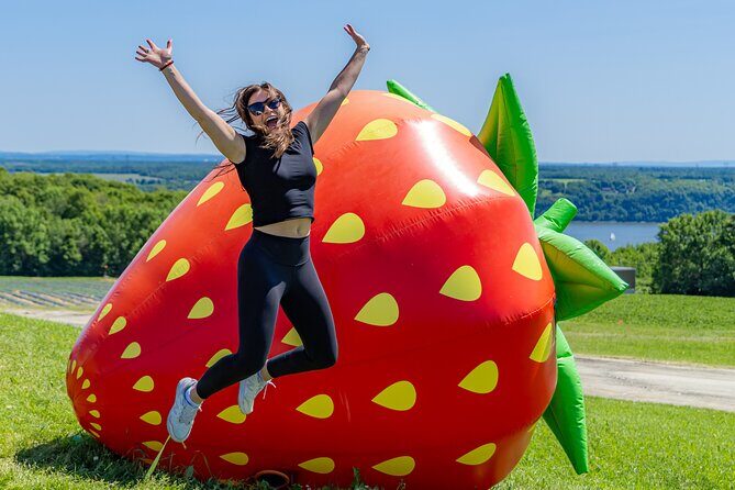 Quebec City - Agricultural Walking Tour on Ile d'Orléans - Practical Tips for Your Visit