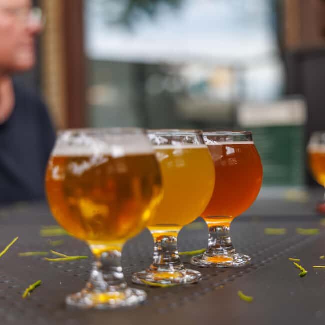 Quebec City: Montmorency Falls and Microbrewery eBike Tour - Practical Aspects & Value