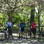 Quebec City : Private Electric Bike Tour - Why This Tour Is a Great Choice