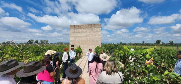 Querétaro: Independence Valley - Guanajuato Wine Tour - What Makes This Tour Stand Out?