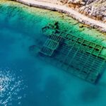 Rab: Zavratnica, Goli Otok and Sveti Grgur Boat Tour - Insights from Reviews: What Travelers Really Think