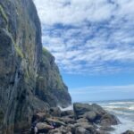 Rainforest and Olympic National Park Highlights - Exploring the Richness of Olympic National Park