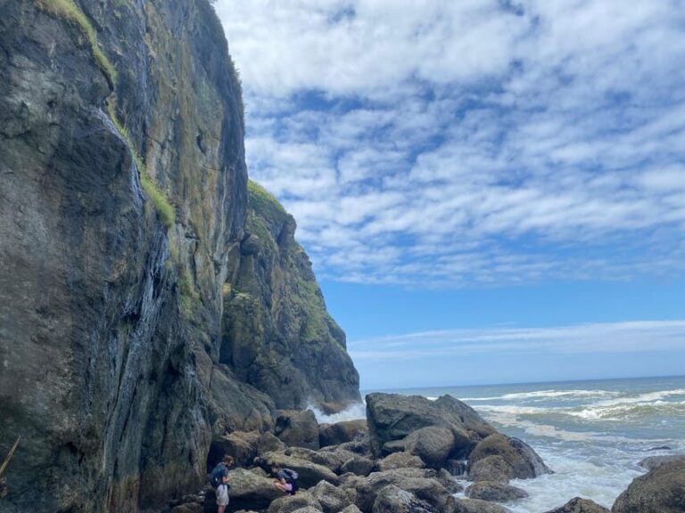 Rainforest and Olympic National Park Highlights - Exploring the Richness of Olympic National Park