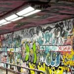 Raleigh Full Day Historian-Guided Driving and Walking Tour - Who Will Love This Tour?