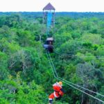 Rappell - Jungle ZipLine & Visit Tulum - Cenote Snorkeling - Deep Dive: The Logistics and Value
