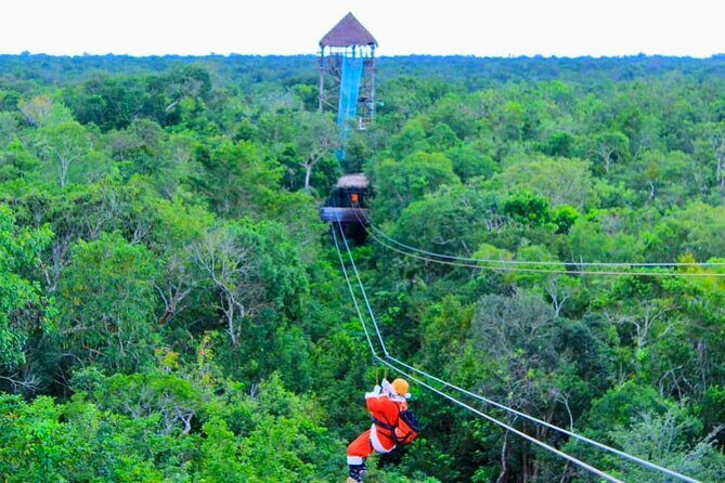 Rappell - Jungle ZipLine & Visit Tulum - Cenote Snorkeling - Deep Dive: The Logistics and Value