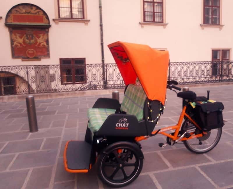 RAXI (Electric Rickshaw) Vienna Tours with two options - Final Thoughts: Is It Worth It?
