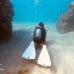 Refresher Scuba Dive - The Value of the Tour