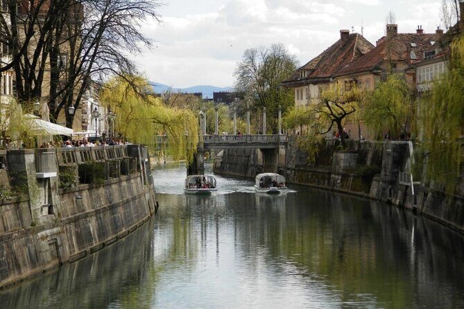 Regular Panoramic Cruise - Final Thoughts