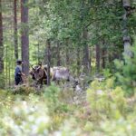Reindeer Hike in Kuusamo nature - Who Will Appreciate This Tour?