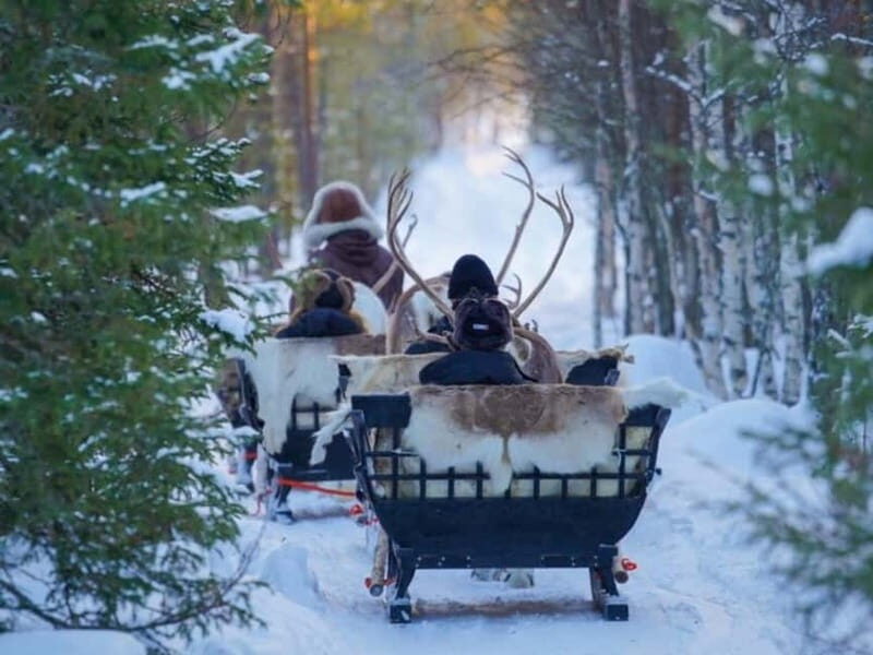 Reindeer Safari at a 200-Year-Old Farm & Long Sled Ride - Cost and Value for Money