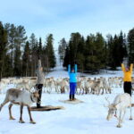 Reindeer yoga in Kuusamo - Practical Details and Value