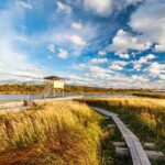 Rejuvenate Like A Local in the Arctic Wilderness - Who Will Love This Tour?