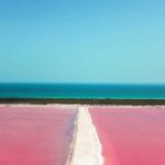 Relaxing Day at Las Coloradas Natural Pink Lake! From Cancun & Riviera Maya - The Itinerary in Detail