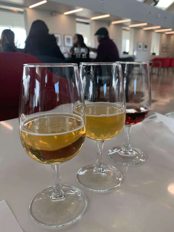 Relaxing Lunch & Wine Tour through Niagara's Wine Country - Review Insights and Unique Highlights