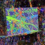 Reno: Splatter Paint Room Experience - The Experiences Unique Features