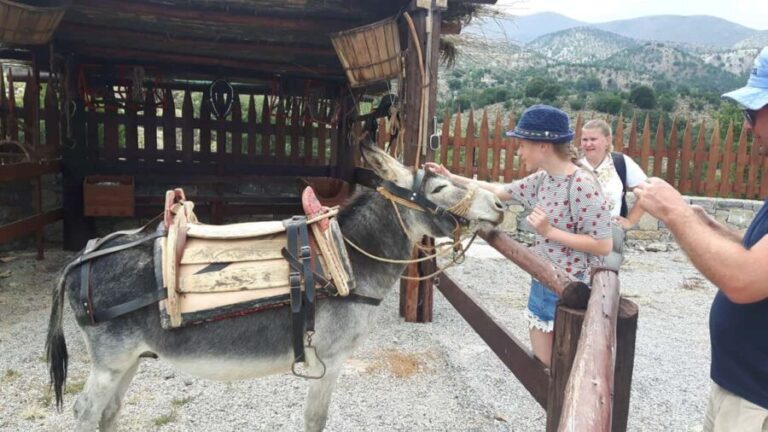 Rethymno Bal & Panormo:Cretan Experience TourSpecial Lunch - A Detailed Look at the Itinerary and Experience