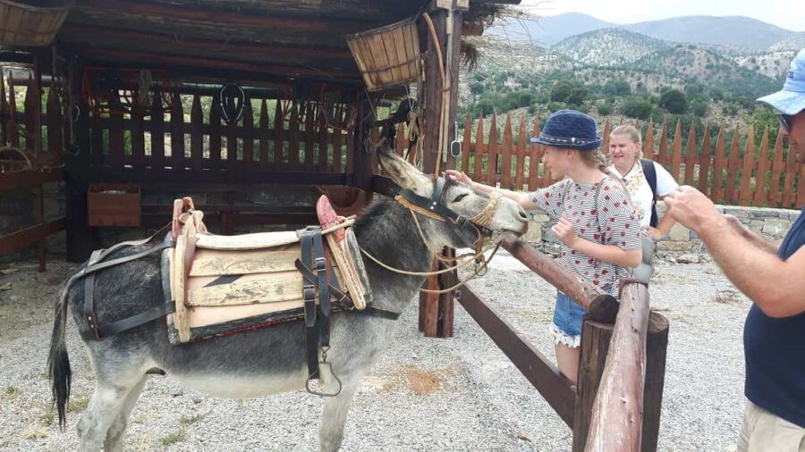 Rethymno Bal & Panormo:Cretan Experience TourSpecial Lunch - A Detailed Look at the Itinerary and Experience