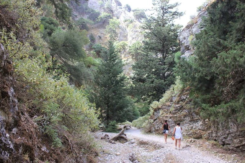 Rethymno: Imbros Gorge and Frangokastello Beach Hiking Tour - An Honest Look at the Tour: What to Expect