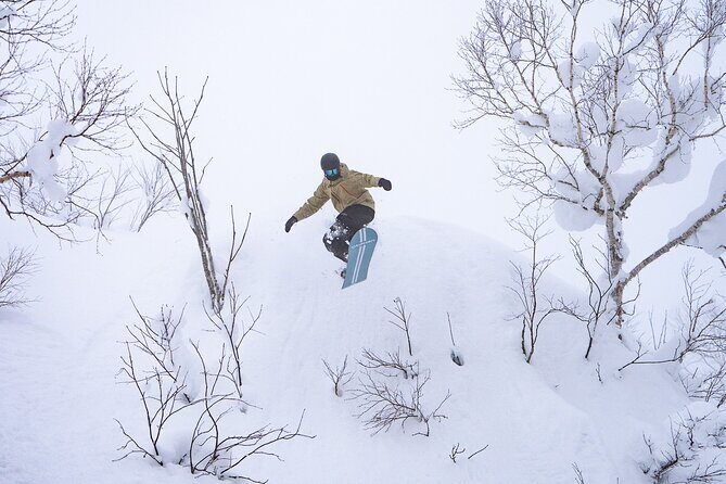 Revelstoke Mountain Photography Tours - What to Expect During the Tour