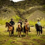 Reykjadalur: Horseback Riding Tour for Families & Beginners - Final Thoughts