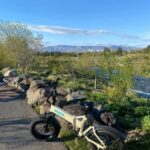 Reykjavík by the Shore, Coast, City & Hidden Trails by eBike - Practical Details and Tips