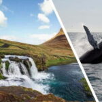Reykjavik: Snæfellsnes Peninsula & Whale Watching Tour - Who Will Love This Tour?