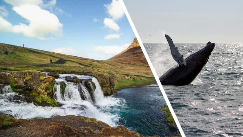 Reykjavik: Snæfellsnes Peninsula & Whale Watching Tour - Who Will Love This Tour?