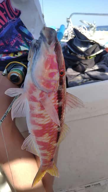 Rhodes: 4 Hour Private Boat Fishing Trip with Equipment - Practical Tips for Your Trip