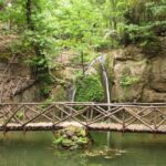 Rhodes: Guided Tour to the Islands Highlights - Practical Aspects and Value