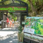 Rhodes: Island Visit With Wine, Olive Oil, & Honey Tasting - What’s Included and What’s Not