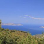 Rhodes: Safari with experienced driver - South pick ups - Authentic Experiences & Surprising Details