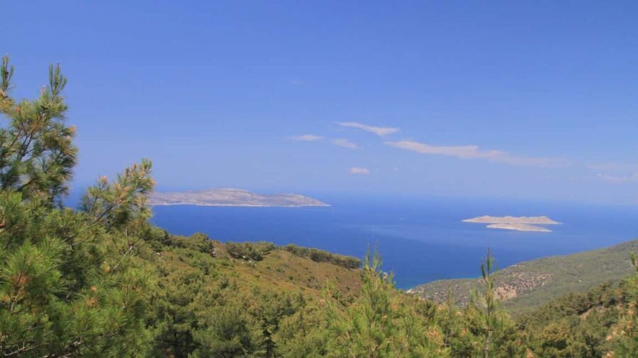 Rhodes: Safari with experienced driver - South pick ups - Authentic Experiences & Surprising Details